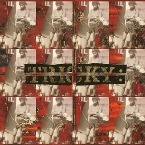 Maxinquaye (Reincarnated) - Vinyl | Tricky imagine