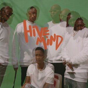 Hive Mind - Vinyl | The Internet imagine