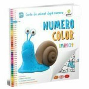 Numero Color. Initiat. Carte de colorat dupa numere imagine
