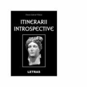 Itinerarii introspective - Dorin Gabriel Tilicea imagine