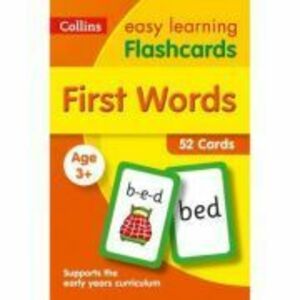 First Words 3-5 Flashcards imagine
