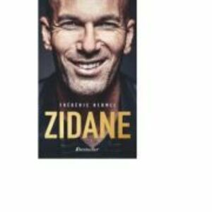 Zidane - Frederic Hermel imagine