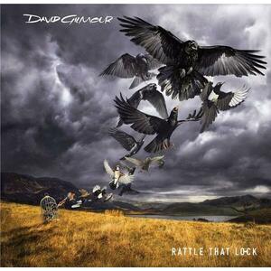 Rattle That Lock - Vinyl | David Gilmour imagine