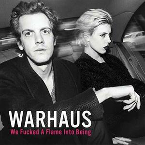 We Fucked A Flame Into Being - Vinyl | Warhaus imagine