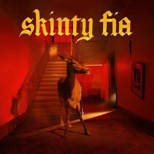 Skinty Fia - Vinyl (45 RPM) | Fontaines D.C. imagine