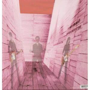 In an Expression of the Inexpressible - Vinyl | Blonde Redhead imagine