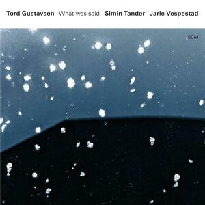 What Was Said | Tord Gustavsen, Simin Tander, Jarle Vespestad imagine