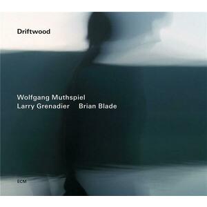 Driftwood | Wolfgang Muthspiel imagine