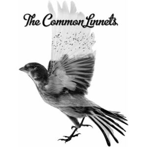 The Common Linnets | The Common Linnets imagine