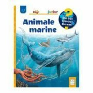 Animale marine - Anita van Saan imagine