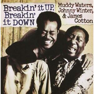 Breakin' It Up, Breakin' It Down | Muddy Waters imagine