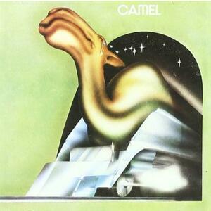 Camel | Camel imagine