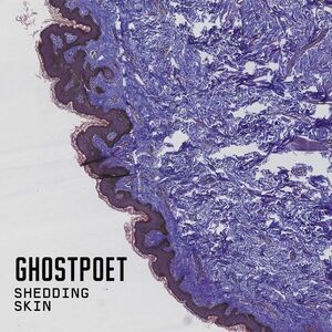 Shedding Skin - Vinyl | Ghostpoet imagine
