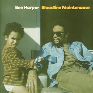Bloodline Maintenance - Vinyl | Ben Harpper imagine