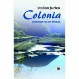 Colonia (aproape ca un blues) - Stelian Turlea imagine