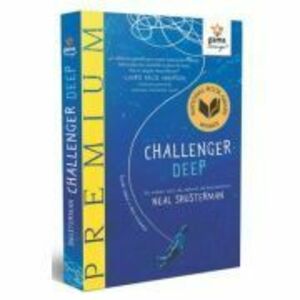 Challenger Deep - Neal Schusterman imagine