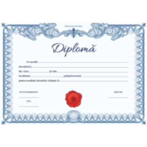 Diploma pentru rezultate deosebite (DZC01) imagine