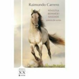 Povestea Bernardei Soledade - Raimundo Carrero imagine