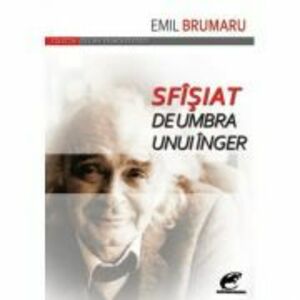 Sfîsiat de umbra unui inger - Emil Brumaru imagine