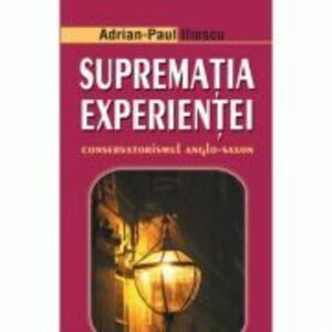 Suprematia experientei - Adrian Paul Iliescu imagine