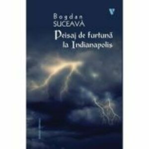 Peisaj de furtuna la Indianapolis - Bogdan Suceava imagine
