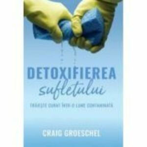 Detoxifierea sufletului - Craig Groeschel imagine