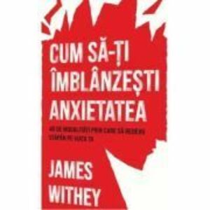 Cum sa-ti imblanzesti anxietatea. 40 de modalitati prin care sa redevii stapan pe viata ta - James Withey imagine