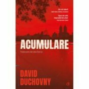 Acumulare - David Duchovny imagine