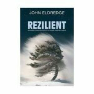 Rezilient - John Eldredge imagine