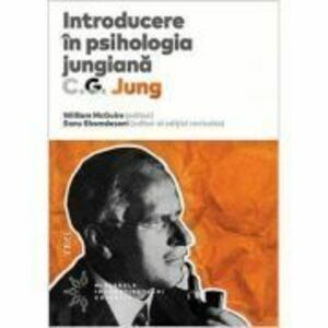 Introducere in psihologia jungiana. Note ale seminarului de psihologie analitica sustinut in 1925 - C. G. Jung imagine