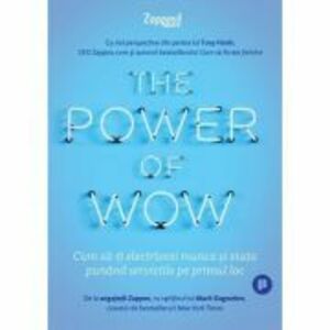 The Power of WOW. Cum sa-ti electrizezi munca si viata punand serviciile pe primul loc - Tony Hsieh imagine