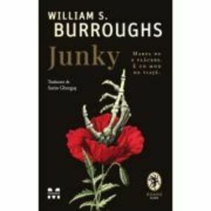 Junky - William S. Burroughs imagine