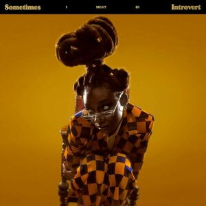 Sometimes I Might Be Introvert | Little Simz imagine