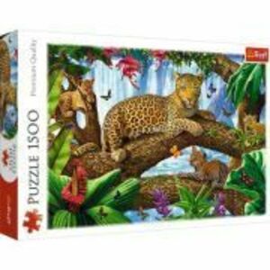 Puzzle jaguar intr-o pauza odihnitoare 1500 piese imagine