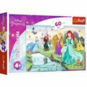 Puzzle Disney Princess intalneste printesa, 60 piese imagine