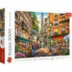 Puzzle Parisul fermecator 2000 de piese imagine