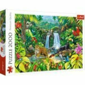 Puzzle Padurea tropicala, 2000 piese imagine