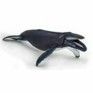 Figurina balena cu cocoasa, Papo imagine