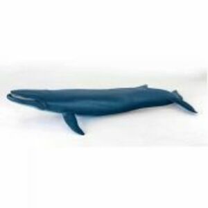 Figurina balena albastra, Papo imagine