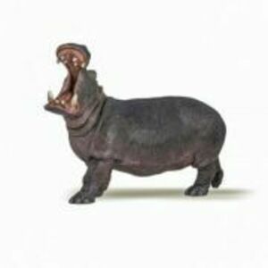 Figurina hipopotam, Papo imagine