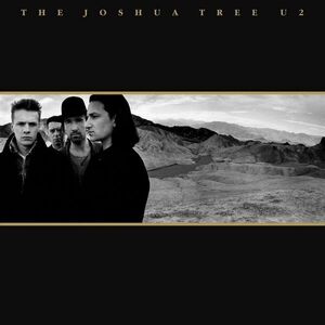 The Joshua Tree - Vinyl | U2 imagine
