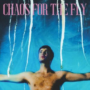 Chaos For The Fly - Vinyl | Grian Chatten imagine
