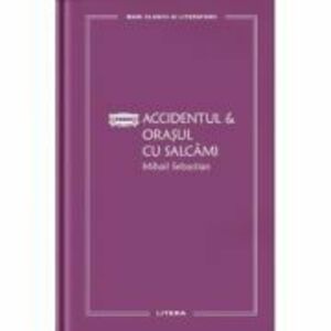 Accidentul & Orasul cu salcami (vol. 23) - Mihail Sebastian imagine
