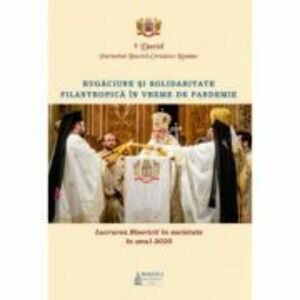 Lucrarea Bisericii in societate in anul 2020 – Rugaciune si solidaritate filantropica in vreme de pandemie - Daniel, Patriarhul BOR imagine
