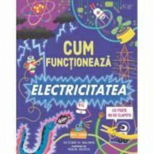 Cum functioneaza electricitatea (Usborne) - Usborne Books imagine