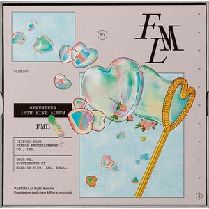 FML (Carat Version) | Seventeen imagine