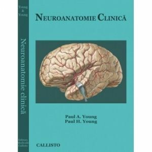 Neuroanatomie Clinica imagine