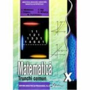 Manual matematica clasa a 10-a trunchi comun - Constantin Nastasescu imagine