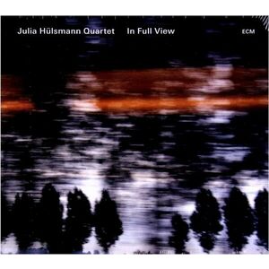 In Full View | Julia Hulsmann Quartet imagine