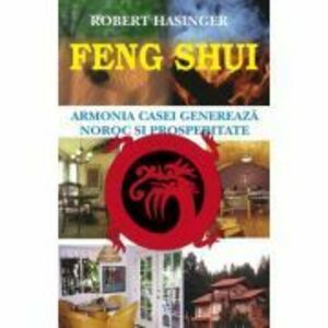 Feng shui - Robert Hasinger imagine